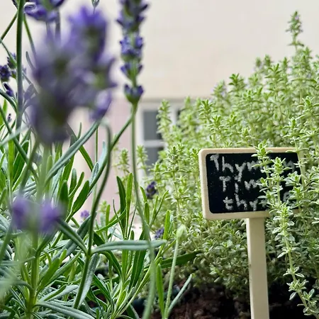 Villareja - Stilvolle Ruhige Private Mit Terrasse, Designbad Und Altstadtblick Im Herzen Von דירה בולצאנו