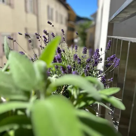 Villareja - Stilvolle Ruhige Boutique-suite Mit Terrasse, Designbad Und Altstadtblick Im Herzen Von 公寓 博尔扎诺