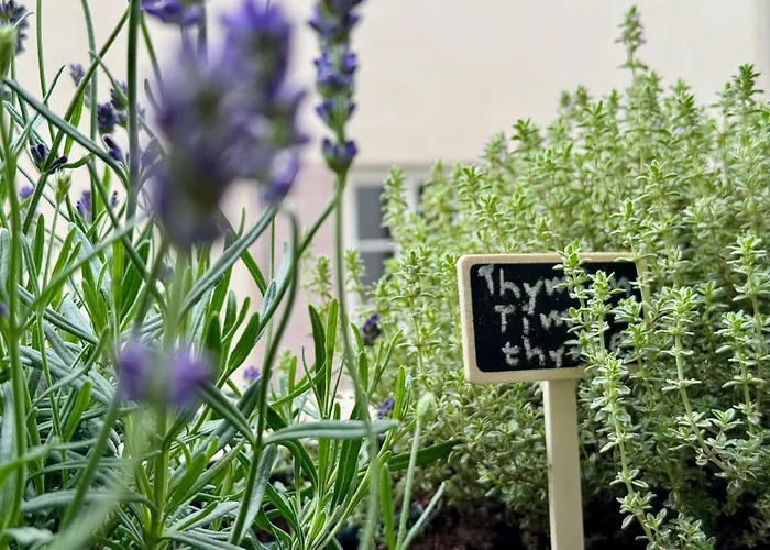 Villareja - Private Im Herzen Der Bozner Altstadt Appartement Bozen