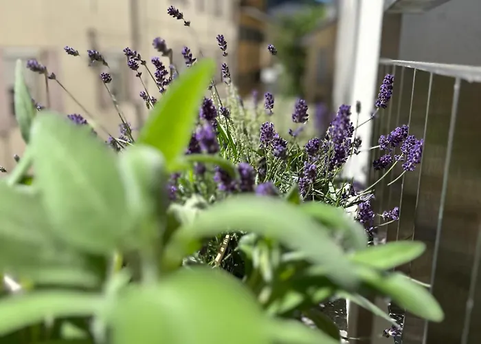 Villareja - Private Im Herzen Der Bozner Altstadt Appartement Bozen